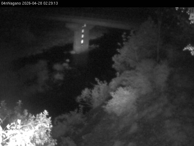 最新監視カメラ画像