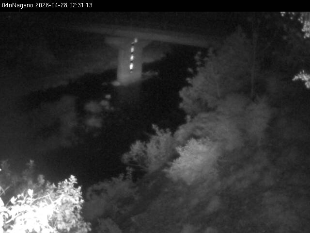 最新監視カメラ画像