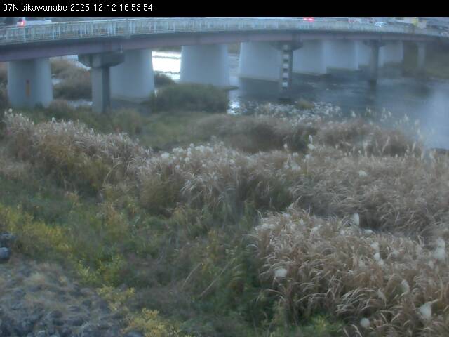 最新監視カメラ画像