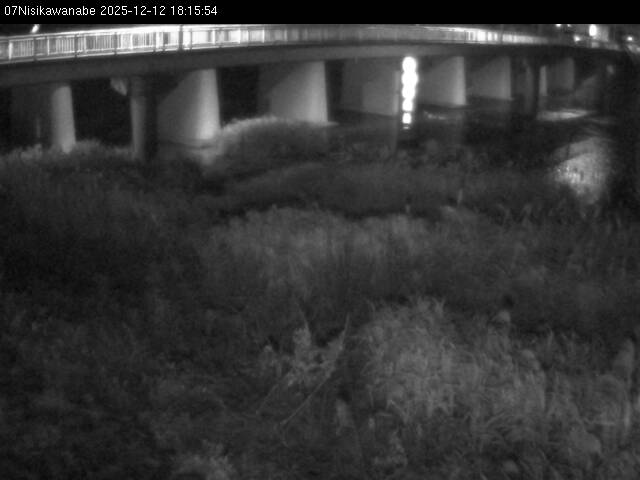 最新監視カメラ画像