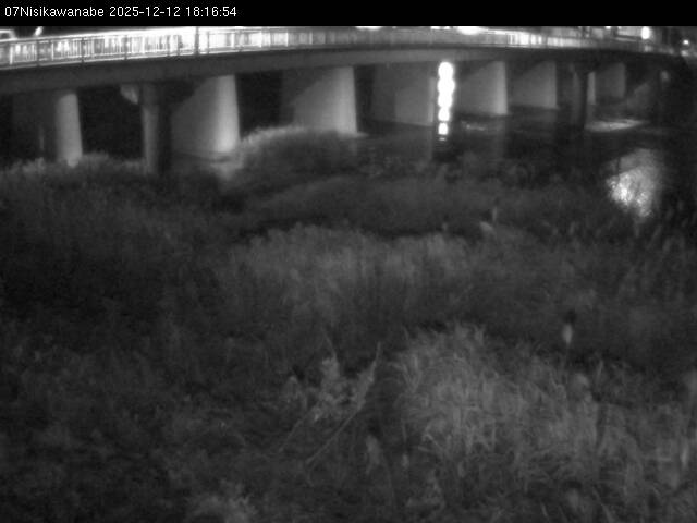 最新監視カメラ画像