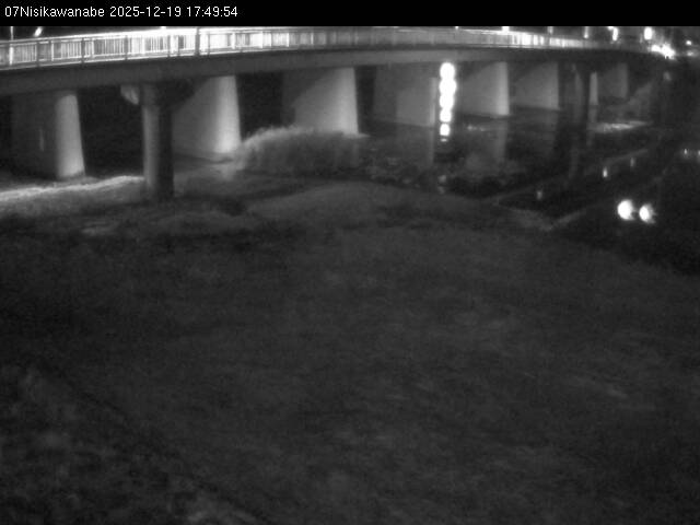 最新監視カメラ画像