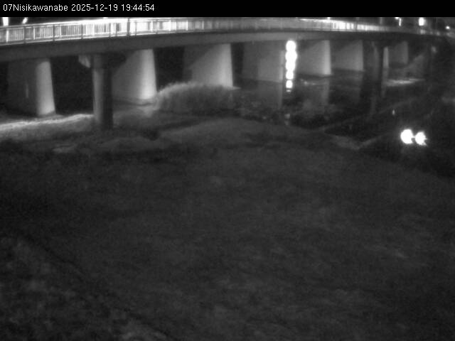 最新監視カメラ画像