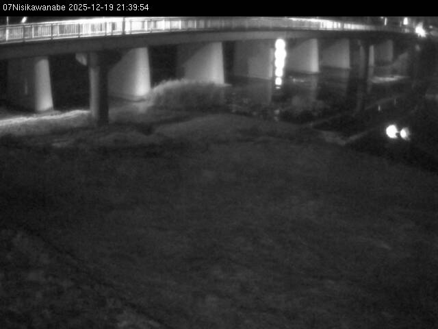 最新監視カメラ画像