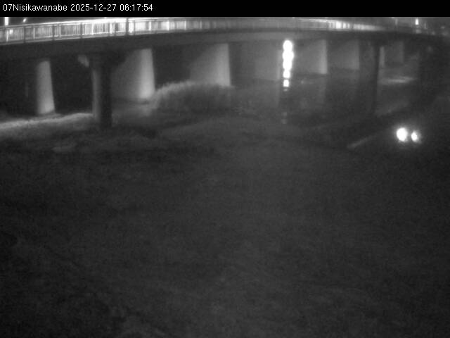 最新監視カメラ画像