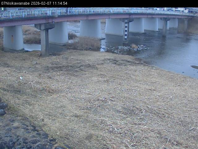 最新監視カメラ画像