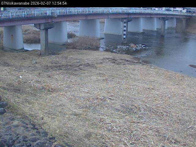 最新監視カメラ画像