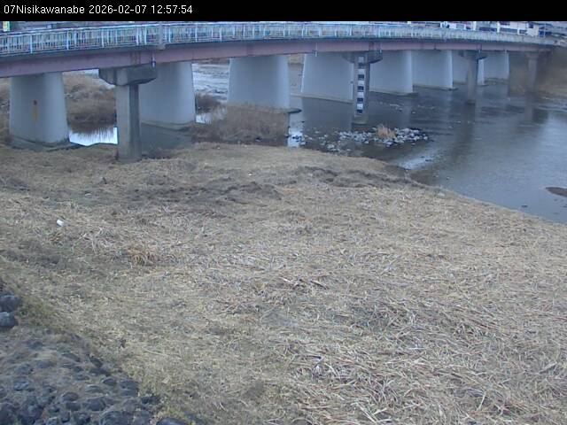 最新監視カメラ画像