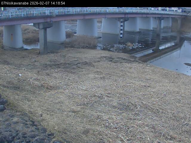 最新監視カメラ画像