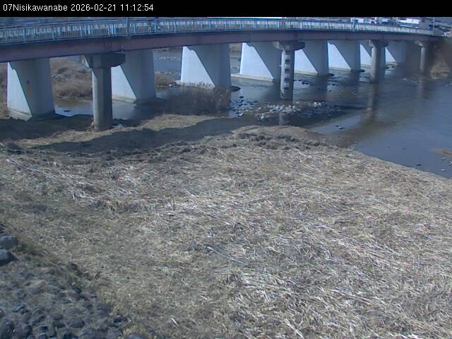 最新監視カメラ画像