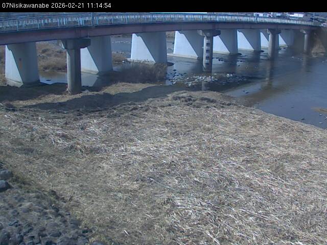 最新監視カメラ画像