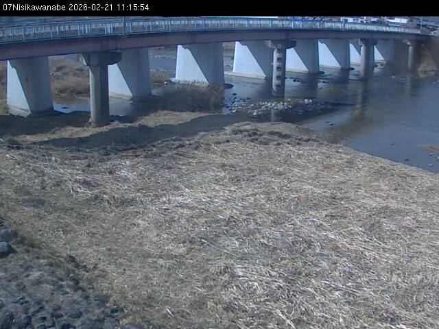 最新監視カメラ画像