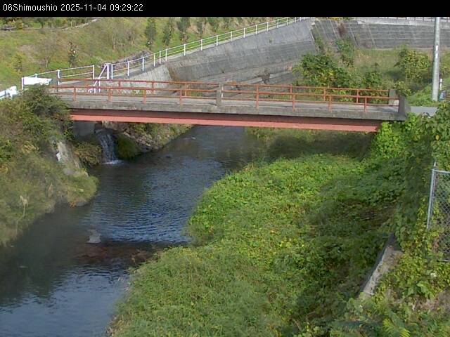 最新監視カメラ画像