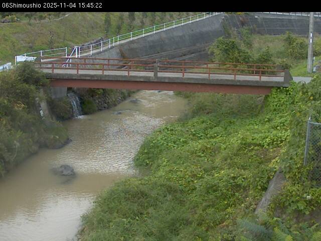 最新監視カメラ画像