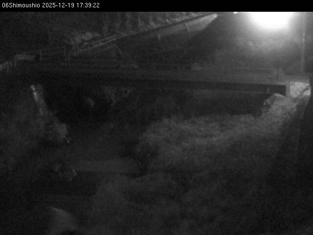 最新監視カメラ画像