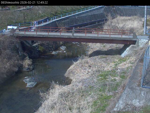 最新監視カメラ画像