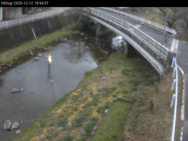 最新監視カメラ画像