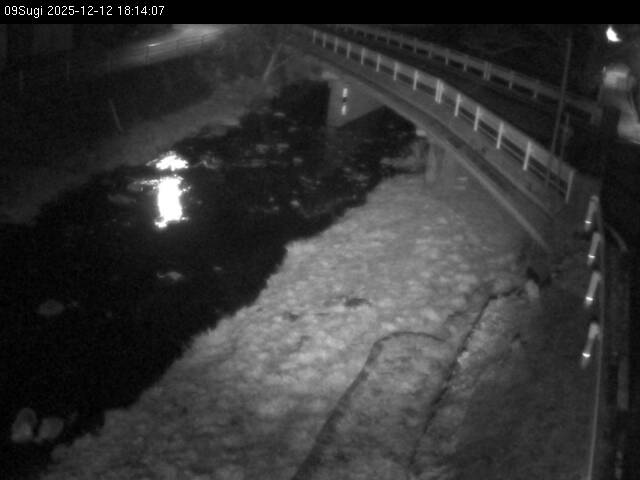 最新監視カメラ画像