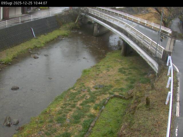 最新監視カメラ画像