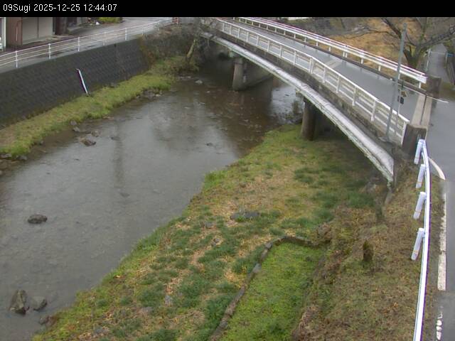 最新監視カメラ画像