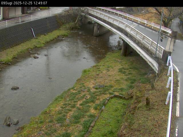 最新監視カメラ画像