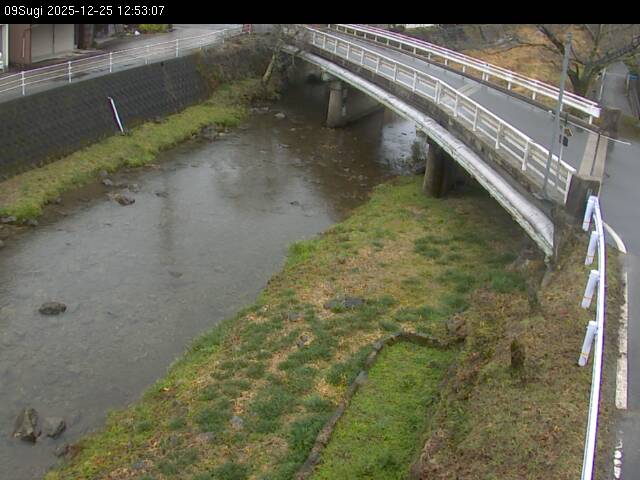 最新監視カメラ画像