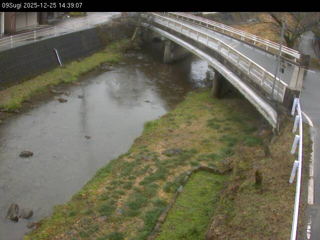 最新監視カメラ画像