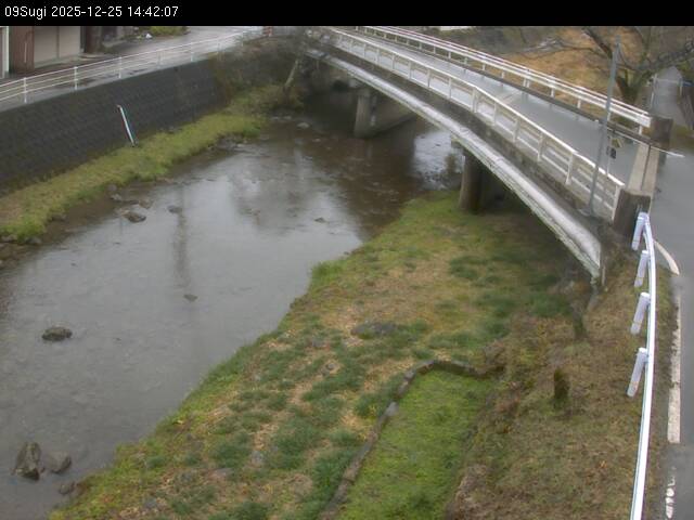 最新監視カメラ画像