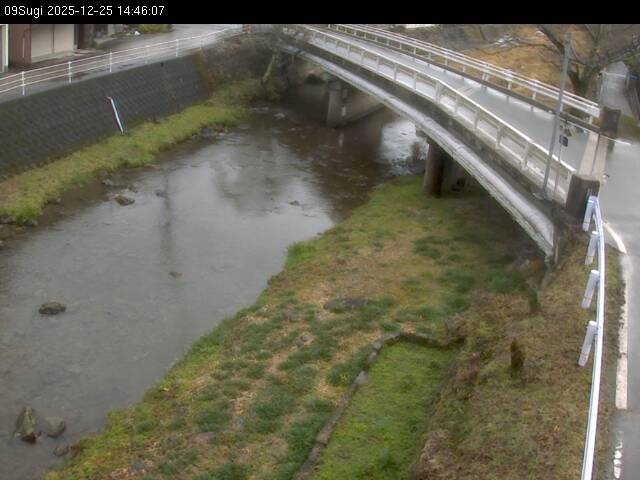 最新監視カメラ画像