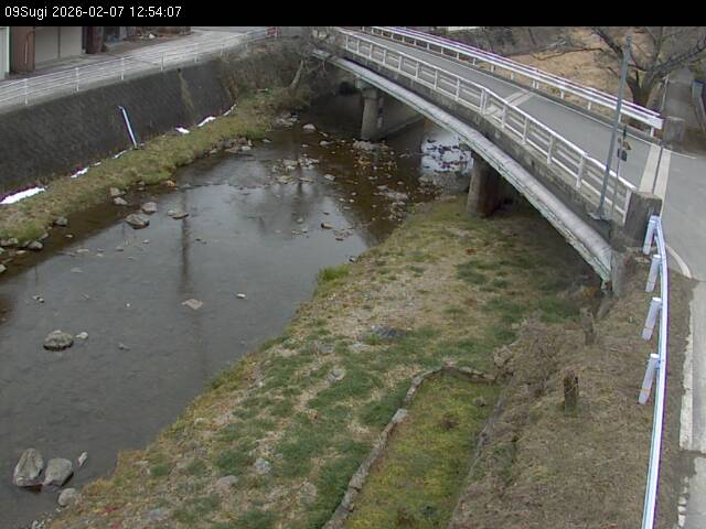 最新監視カメラ画像