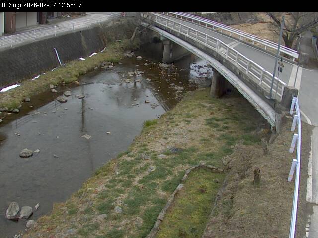 最新監視カメラ画像