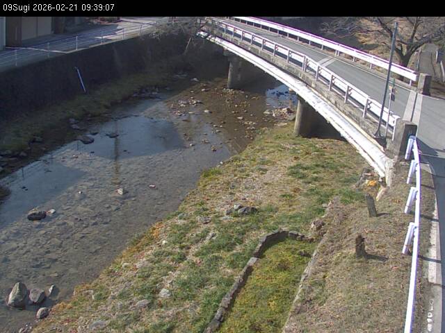 最新監視カメラ画像