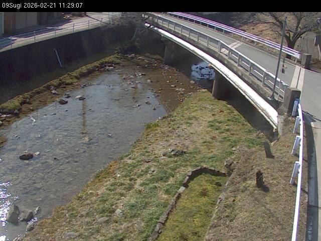 最新監視カメラ画像