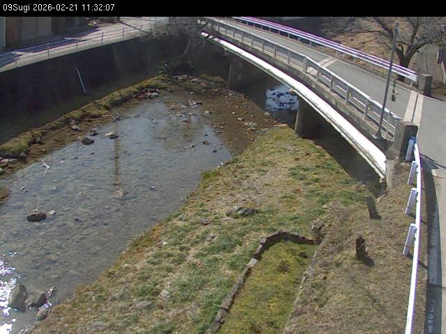 最新監視カメラ画像