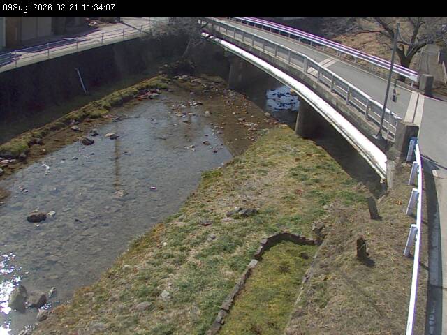 最新監視カメラ画像