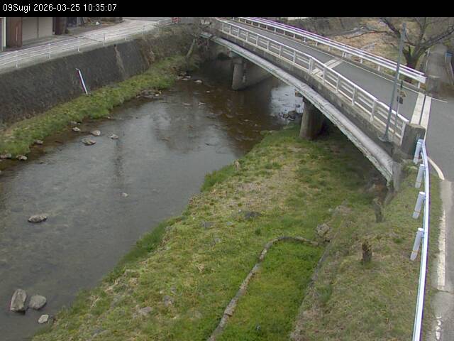 最新監視カメラ画像