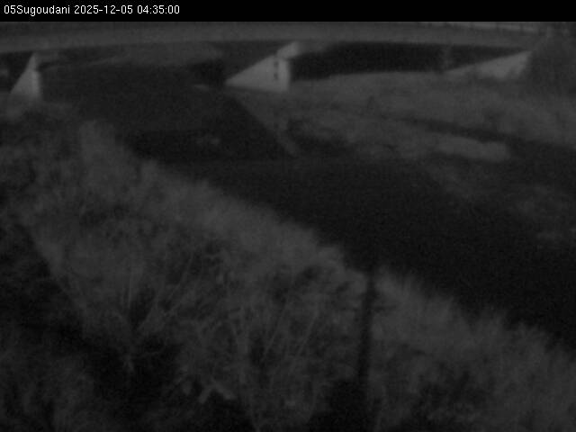 最新監視カメラ画像