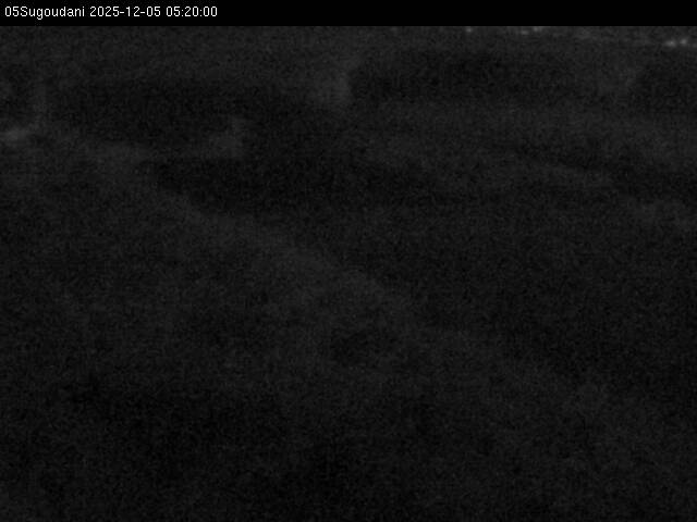 最新監視カメラ画像