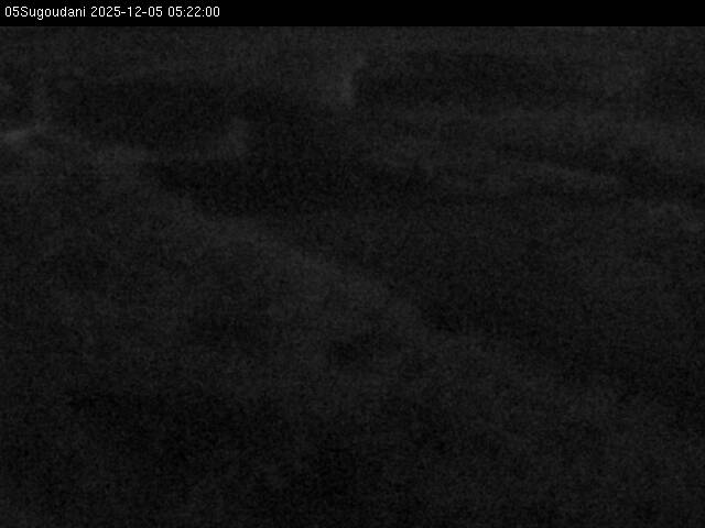 最新監視カメラ画像