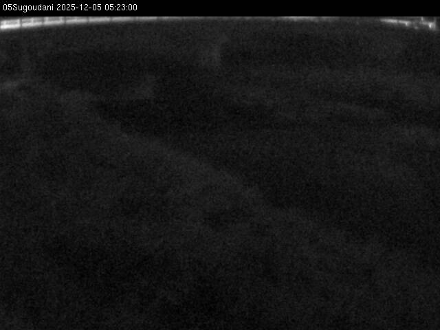 最新監視カメラ画像