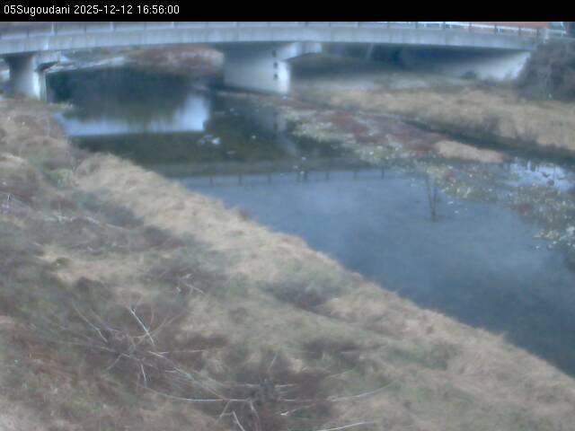 最新監視カメラ画像