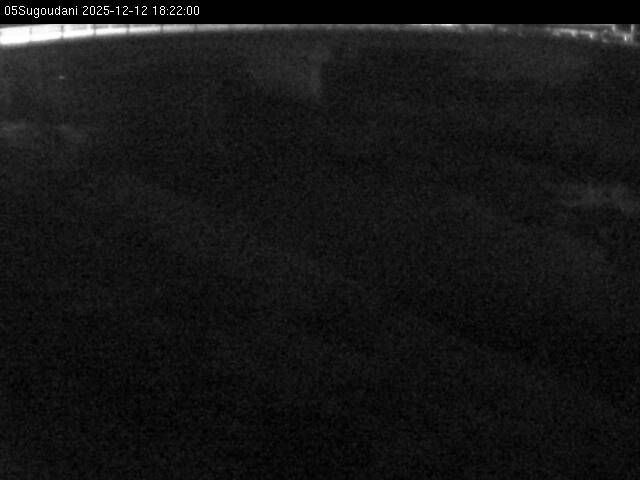 最新監視カメラ画像