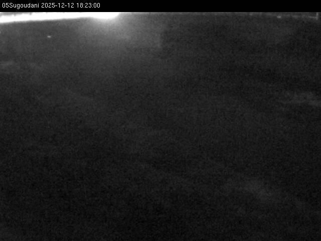 最新監視カメラ画像