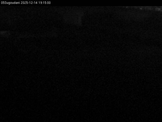 最新監視カメラ画像