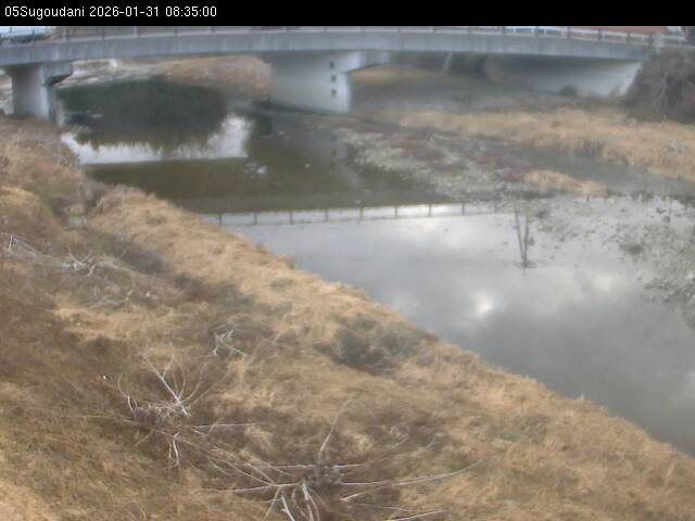 最新監視カメラ画像