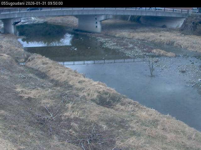 最新監視カメラ画像