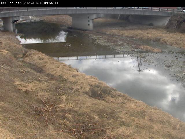 最新監視カメラ画像