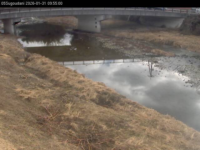 最新監視カメラ画像