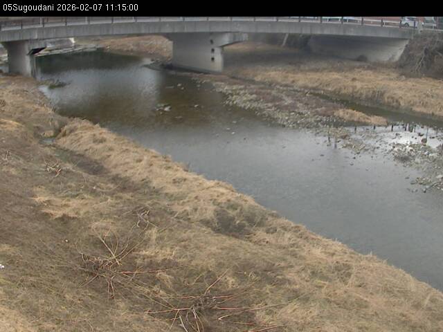 最新監視カメラ画像