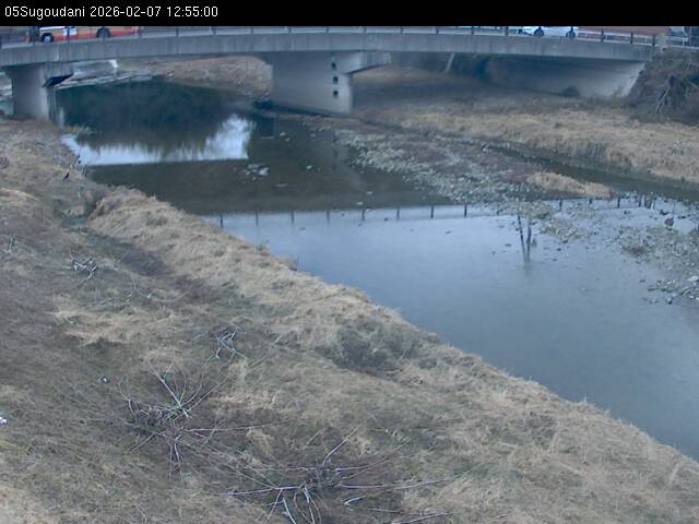 最新監視カメラ画像